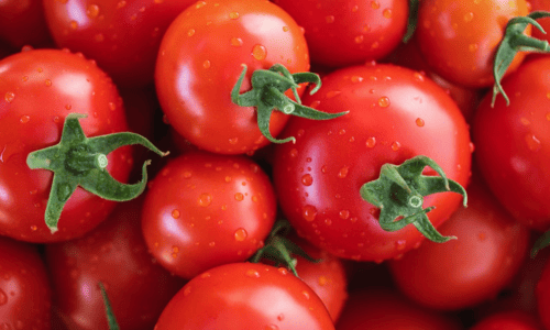 Tomatoes
