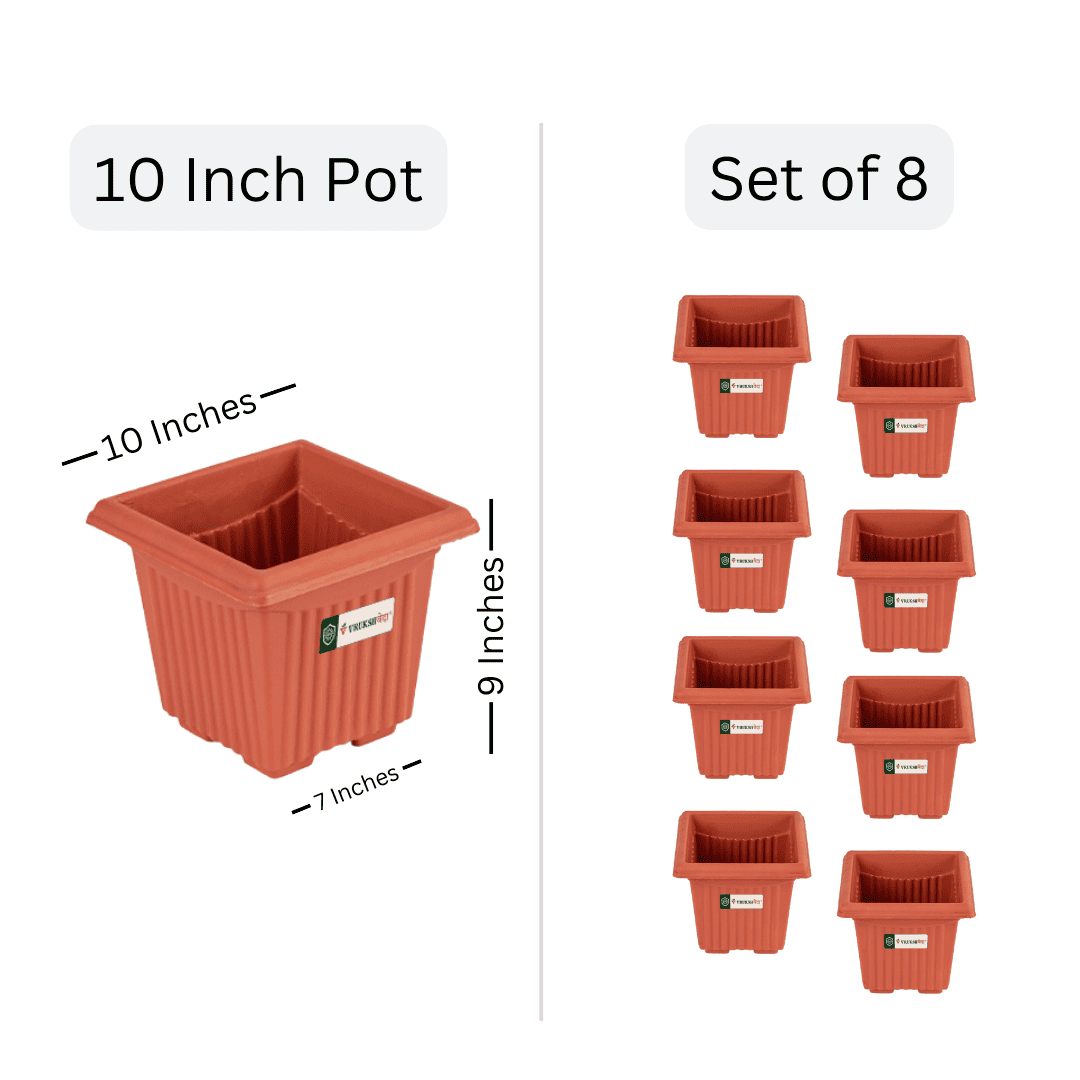 10 inch square pots