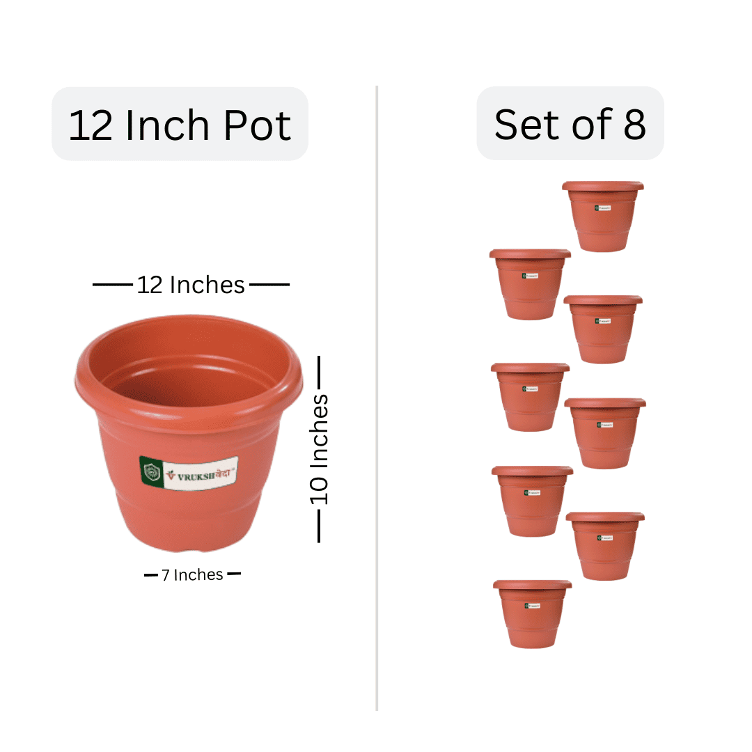 12 inch plastic plant pots
