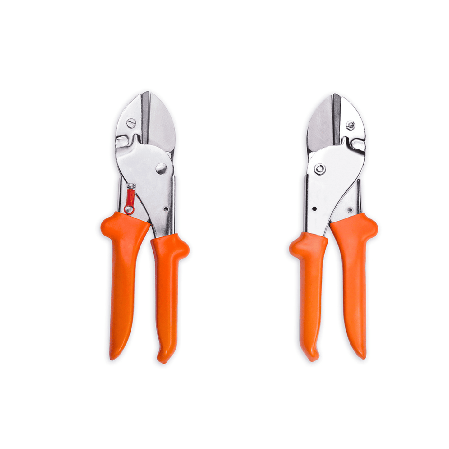 big plant cutting scissors