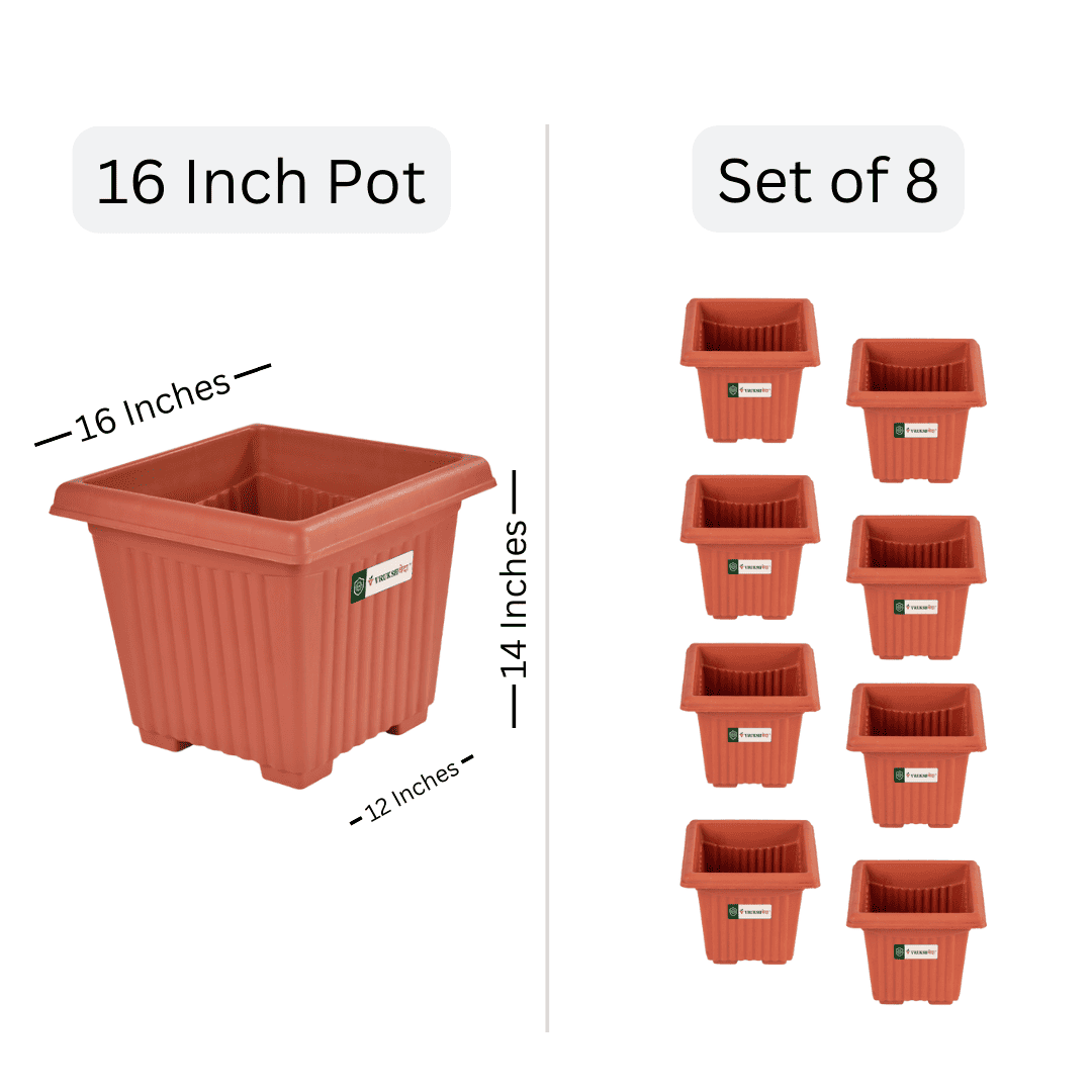 16 inch square pots
