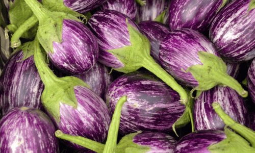 Complete Guide to Growing Brinjal