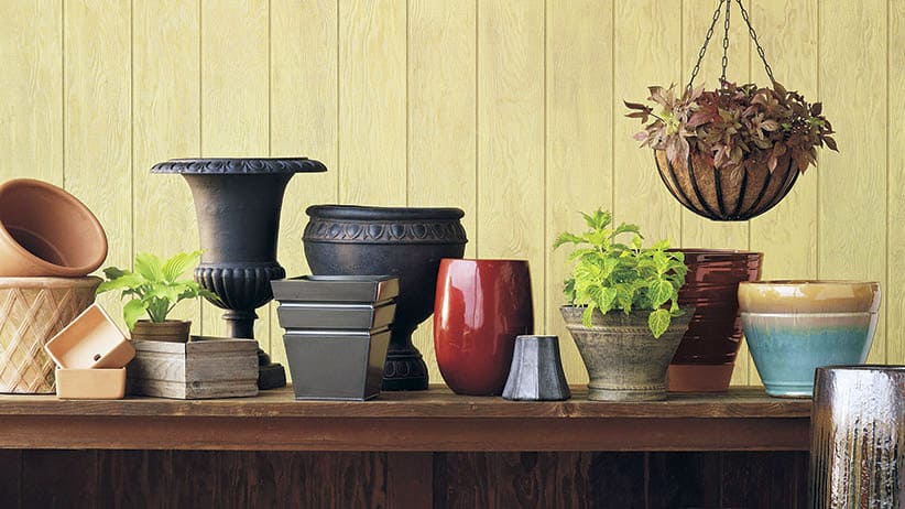 The Art of Choosing Plant Pots