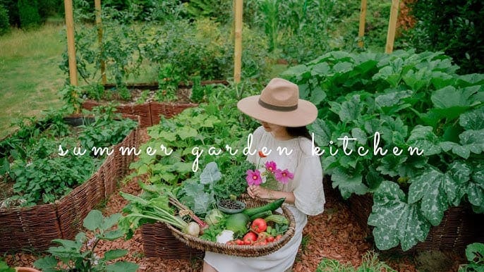 Smart Summer Fertilizing Tips