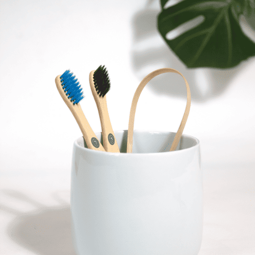 bamboo brushes
