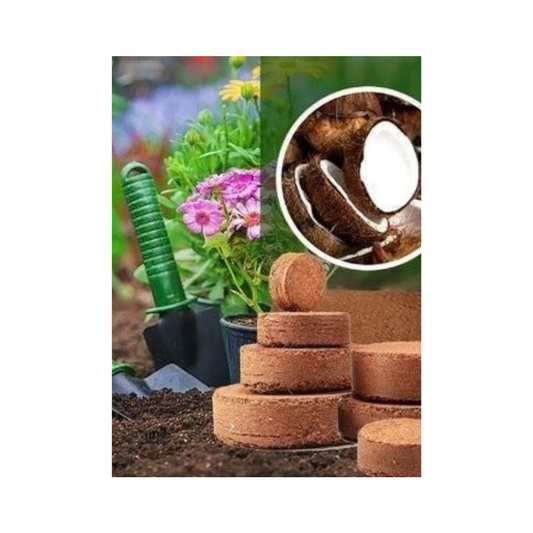 Organic Coconut Coir for Plants Pack of 2 (400GMs Each)