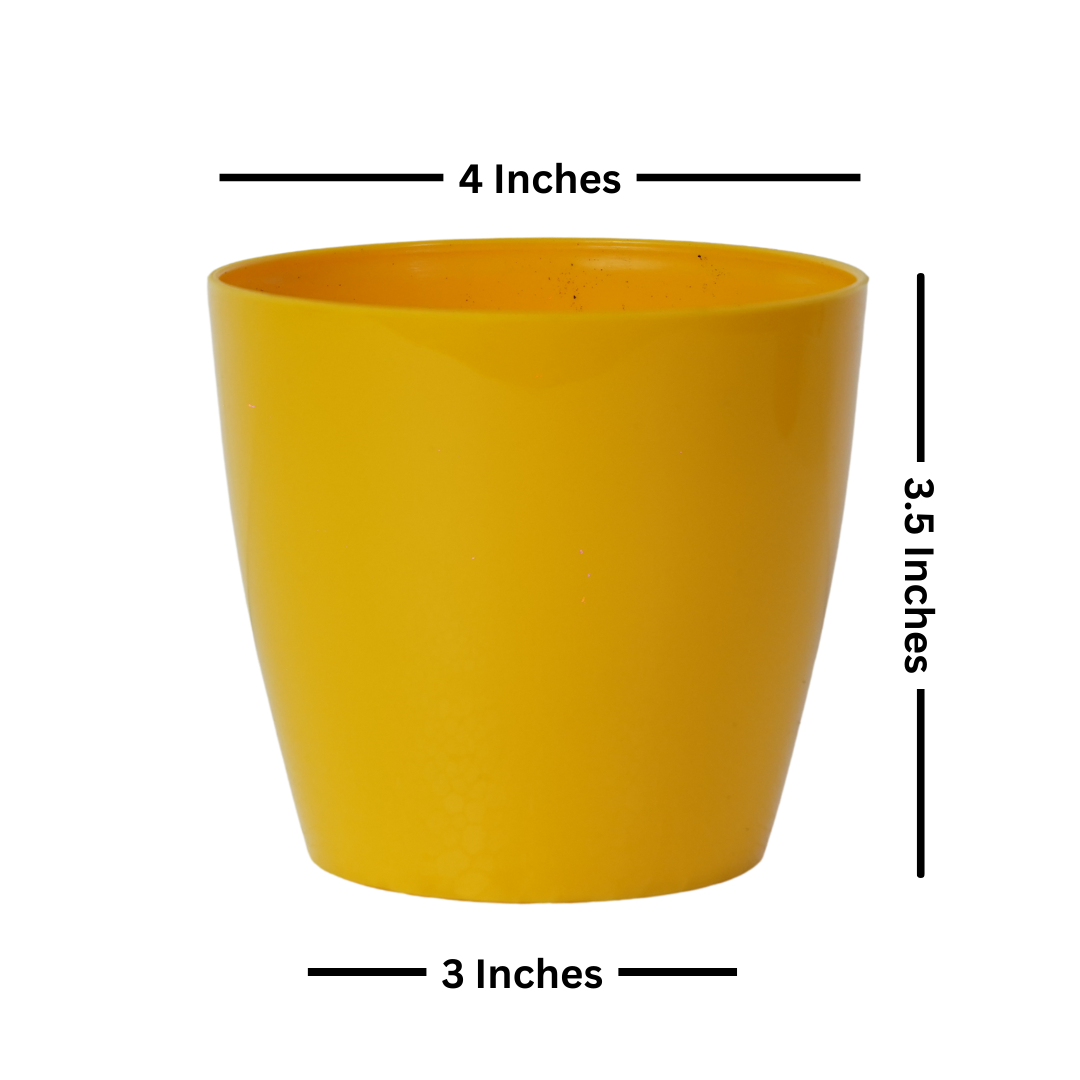  This 4" Yellow pot has got its diameter 4 inches, base 3 inches and the height being 3.5inches. Very much apt for succulents, small herbs for table tops.