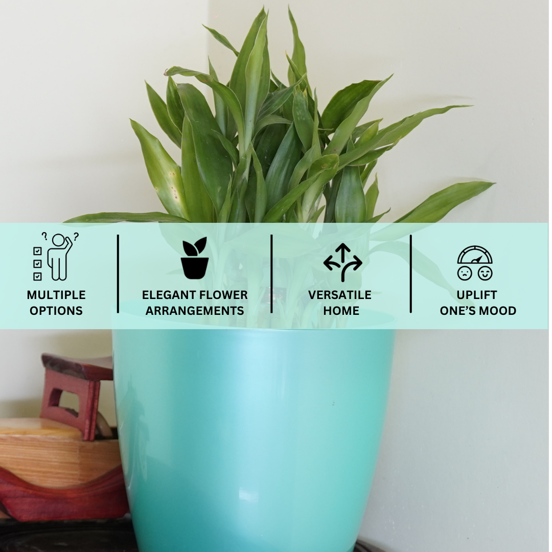 indoorpot plant pots-indoor planter