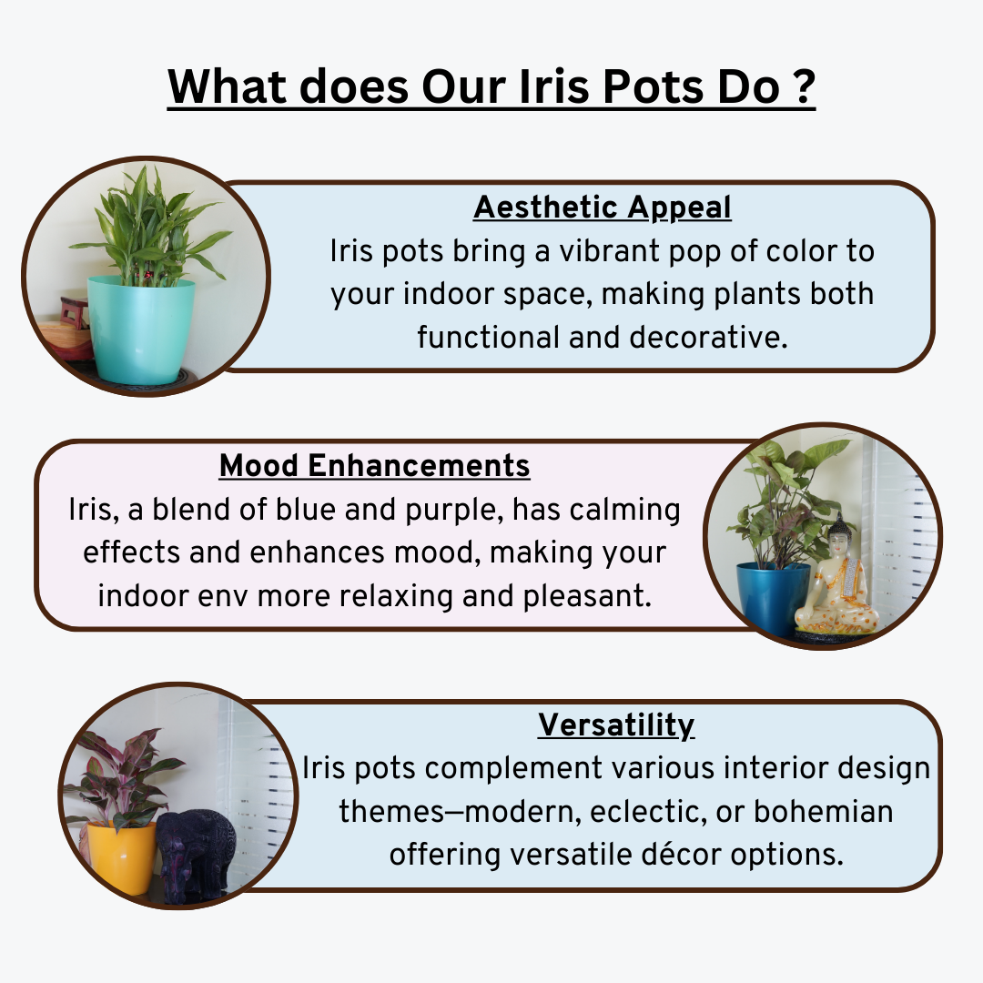 indoor pot plant pots-indoorplanter